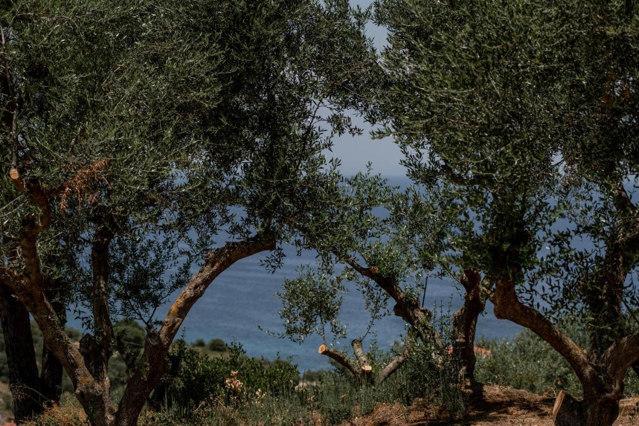 Cossoro Villas Zakynthos Xirokástellon Dış mekan fotoğraf